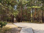 3 kambarių pilnai įrengti apartamentai Nidoje - nuotraukos Nr. 25