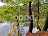 Nuostabios gamtos apsuptyje, išnuomojamas - nuotraukos Nr. 23
