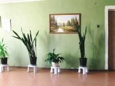 Parduodamas jaukus, šiltas ir pilnai įrengtas - nuotraukos Nr. 8