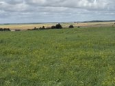 Klaipėdos r. sav., Sudmantų k. - nuotraukos Nr. 9