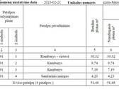 Parduodamas moderniai ir kokybiškai įrengtas - nuotraukos Nr. 15