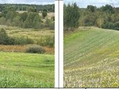 Parduodamas 4,63 ha žemės ūkio paskirties - nuotraukos Nr. 2