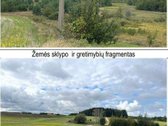 Parduodamas 4,63 ha žemės ūkio paskirties - nuotraukos Nr. 4