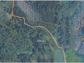 Parduodamas 4,63 ha žemės ūkio paskirties - nuotraukos Nr. 7