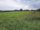 Liko paskutis sklypas - nuotraukos Nr. 2