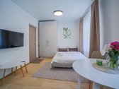 Puikus, naujas 1 kambario butas nuomai, su - nuotraukos Nr. 6