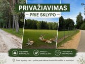 Parduodamas 1 ha žemės ūkio paskirties - nuotraukos Nr. 9