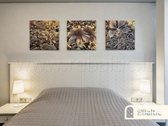 Modernūs apartamentai renovuotame name &quot - nuotraukos Nr. 30