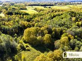 97.9 ha sklypas su pusiasaliu Stirnių ežere - nuotraukos Nr. 21