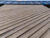 Harmony Homes – tarp miesto ritmo ir gamtos - nuotraukos Nr. 17