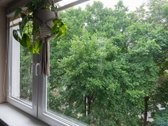 Išnuomojamas labai jaukus, šviesus ir šiltas - nuotraukos Nr. 18