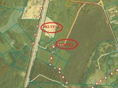 Pardudamas žemės sklypas Vilniaus raj., - nuotraukos Nr. 5