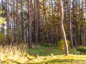2 Kambarių Butas Popieriaus G. – Jūsų Naujų - nuotraukos Nr. 26