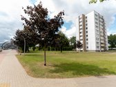 Saulėtas Ir Šviesus 1 Kambari0 Butas Jonavoje - nuotraukos Nr. 18
