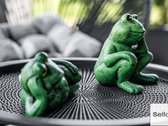  – Nt ekspertai be procentų - nuotraukos Nr. 15