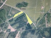 Parduodami 3 miško sklypai – tik visi kartu ! - nuotraukos Nr. 2