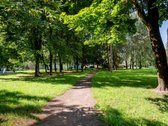 Parduodamas 2 Kambarių Butas Naujamiestyje – - nuotraukos Nr. 10