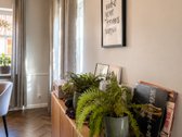 Parduodamas Tvarkingas 5 Kambarių Namas - nuotraukos Nr. 5