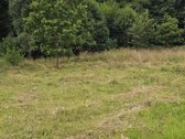 Parduodamas gražioje ir ramioje , šalia - nuotraukos Nr. 7