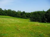 Išskirtinis 2,6 Ha Sklypas Zarasų Krašte – 23 - nuotraukos Nr. 4