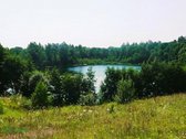 Išskirtinis 2,6 Ha Sklypas Zarasų Krašte – 23 - nuotraukos Nr. 5