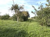 Parduodamas Mūrinis Namas Ramiame Meškuičių - nuotraukos Nr. 11