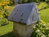 Parduodamas dviejų sklypų junginys su sodo - nuotraukos Nr. 20