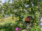 Parduodamas dviejų sklypų junginys su sodo - nuotraukos Nr. 26