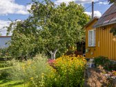 Parduodamas dviejų sklypų junginys su sodo - nuotraukos Nr. 27