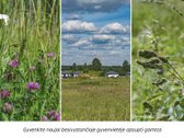 Parduodamas taisyklingos formos 13,34 arų - nuotraukos Nr. 3