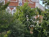 Centre, šalia Sinagogos, parduodamas 7, 3 arų - nuotraukos Nr. 2