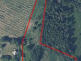 Parduodmas žemės sklypas Purvelių kaime. - nuotraukos Nr. 5