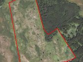 Parduodame žemės sklypą 11,6996 ha Mironiškio - nuotraukos Nr. 2