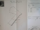 Parduodamas žemės ūkio paskirties sklypas - nuotraukos Nr. 2