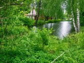 Parduodamas taisyklingos stačiakampio formos - nuotraukos Nr. 3
