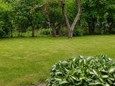 Parduodamas taisyklingos stačiakampio formos - nuotraukos Nr. 10