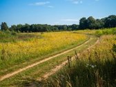 Išskirtinis 4,7 Ha Sklypas Klaipėdos Raj. - nuotraukos Nr. 2