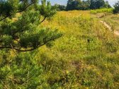 Išskirtinis 4,7 Ha Sklypas Klaipėdos Raj. - nuotraukos Nr. 3