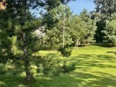 Išskirtinis 16 arų sklypas su vaizdu į Neries - nuotraukos Nr. 7