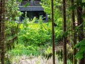 Unikalus namas Pavilnių regioniniame parke - - nuotraukos Nr. 40