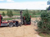 Parduodami du 80 m² ir 50 m² namai bendrame - nuotraukos Nr. 18
