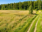 Vos 4,5 km nuo Liepkalnio Maksimos – - nuotraukos Nr. 3