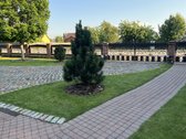 Išskirtinis namas patogiam gyvenimui - nuotraukos Nr. 11