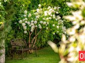 Pavilnyje – namai, kuriuose miestas lieka - nuotraukos Nr. 52