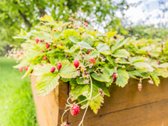 Parduodamas Itin Erdvus Gyenamasis Namas Su - nuotraukos Nr. 61