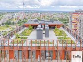  – Nt ekspertai be procentų - nuotraukos Nr. 33