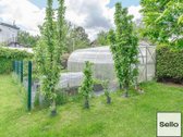  – Nt ekspertai be procentų - nuotraukos Nr. 40