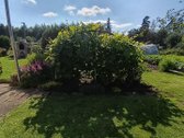 Kalvelių k. parduodamas ilgus metus šeimos - nuotraukos Nr. 37