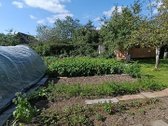 Kalvelių k. parduodamas ilgus metus šeimos - nuotraukos Nr. 39