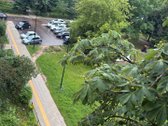 Išnuomojamas Šviesus 1 Kambario Butas Su - nuotraukos Nr. 2